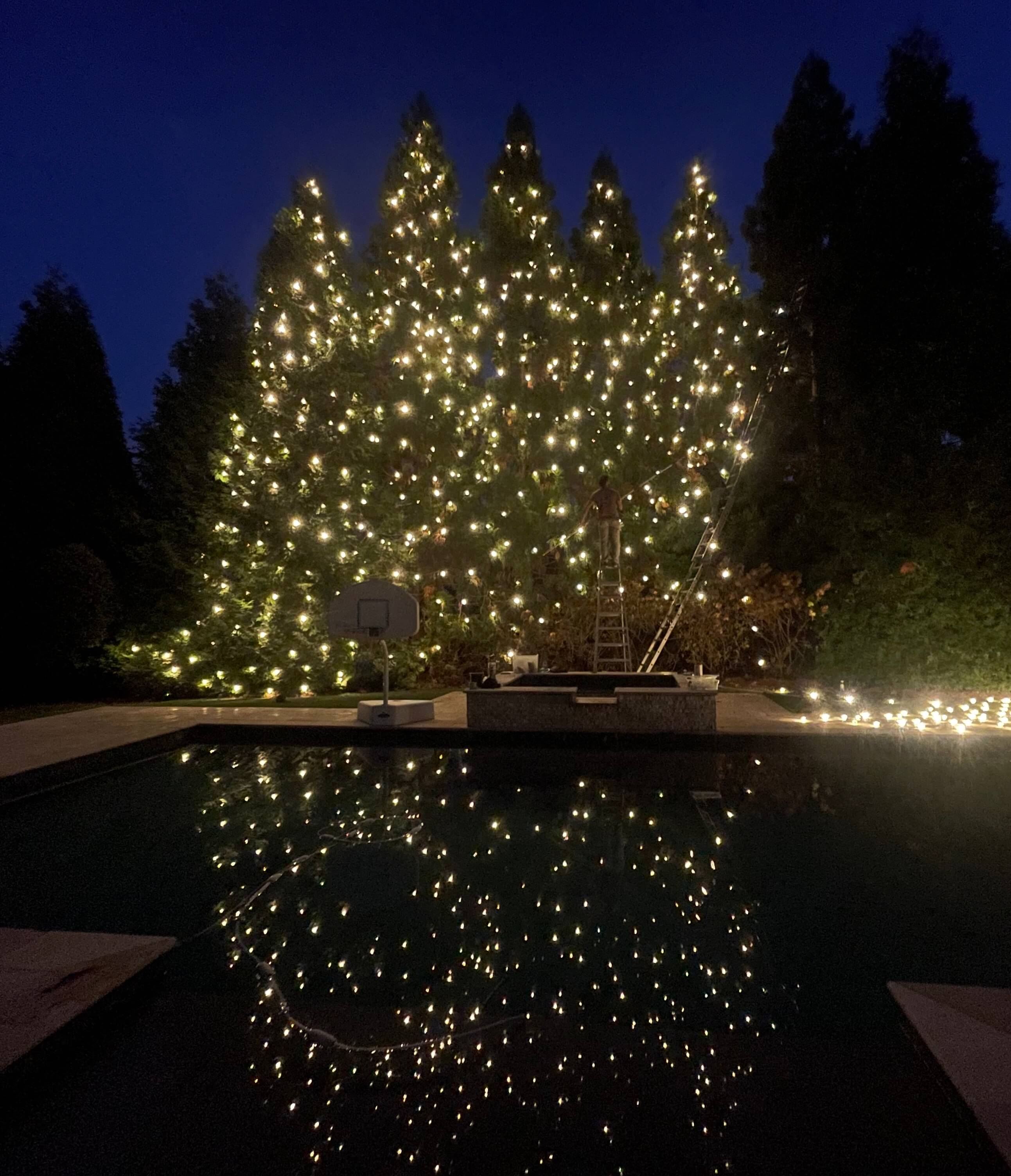 Detailed LED tree wrap lighting for a holiday display in Milton Georgia